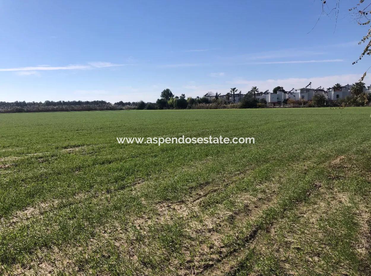 Land For Sale In Sarıgermede 30,000M2 Land For Sale With Sea View