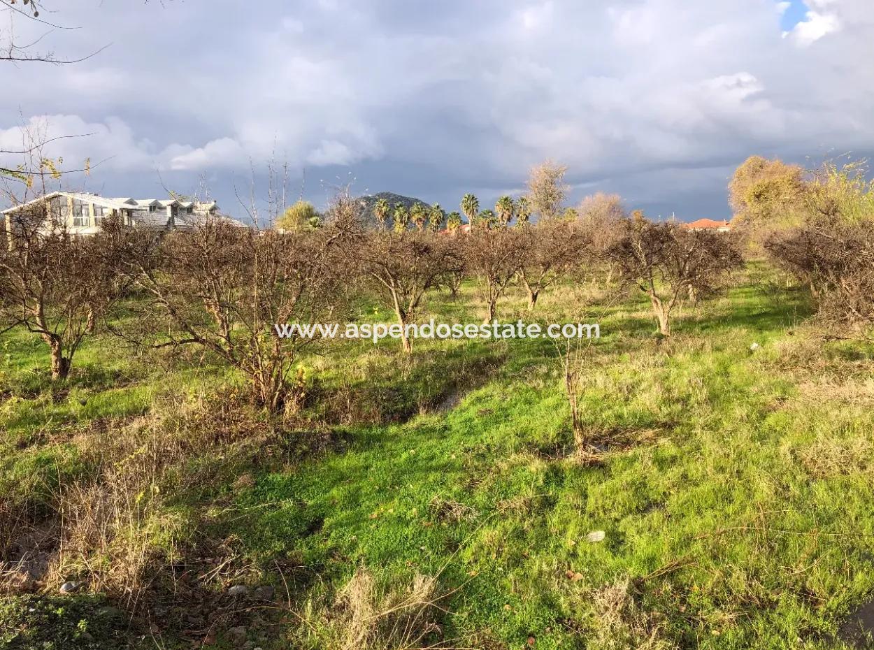 Dalyan Land For Sale Near The Center 3000M2 5% Zoning Land For Sale