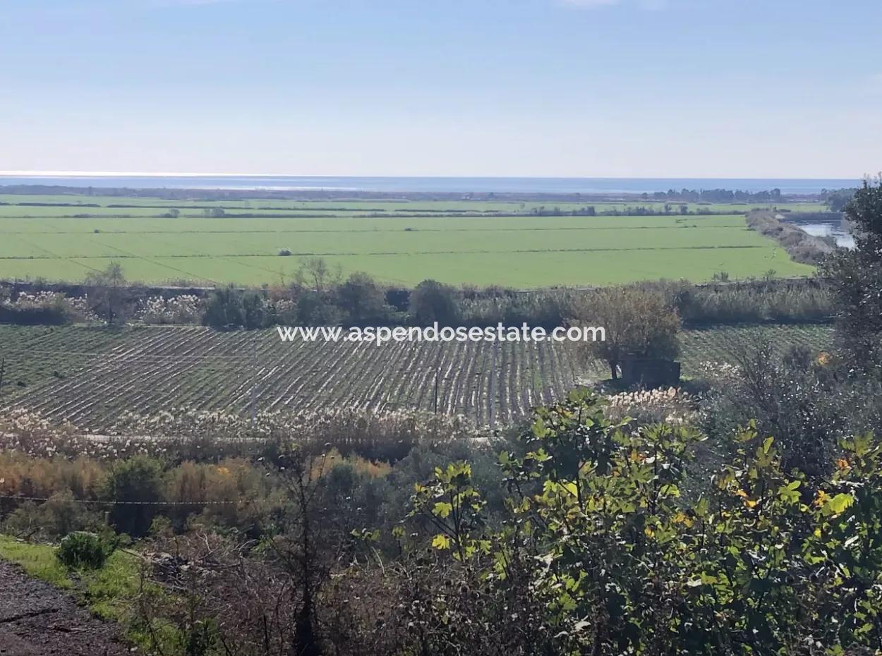Land For Sale With Sea View Of Fevziye
