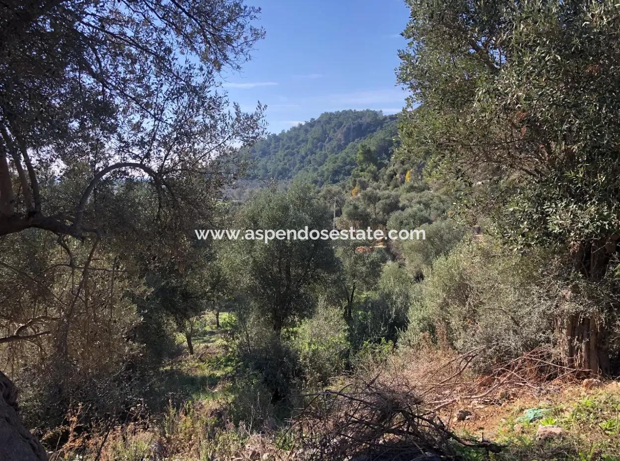 Land For Sale With Sea View Of Fevziye