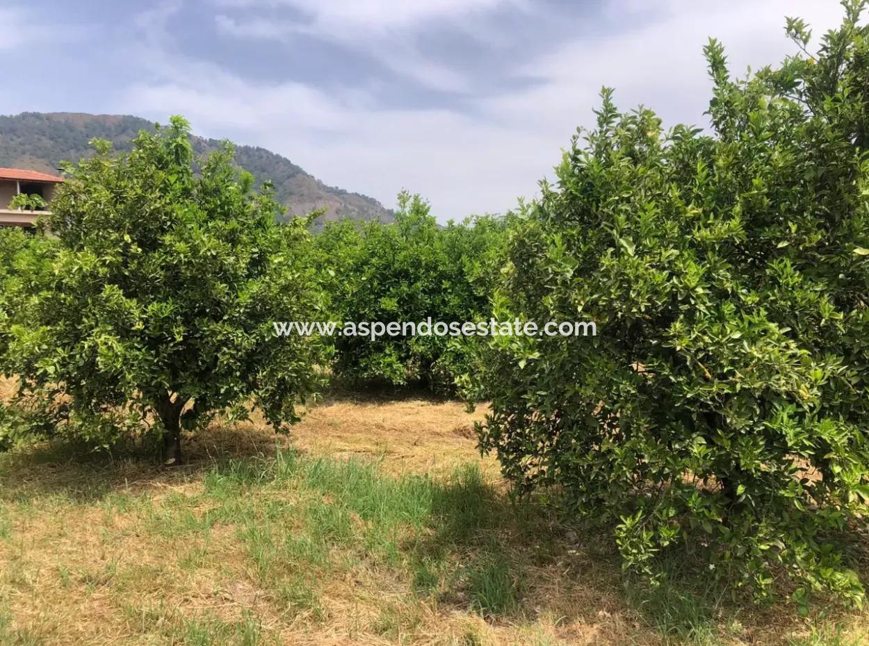 Land For Sale In Sourliyurtda 1085M2