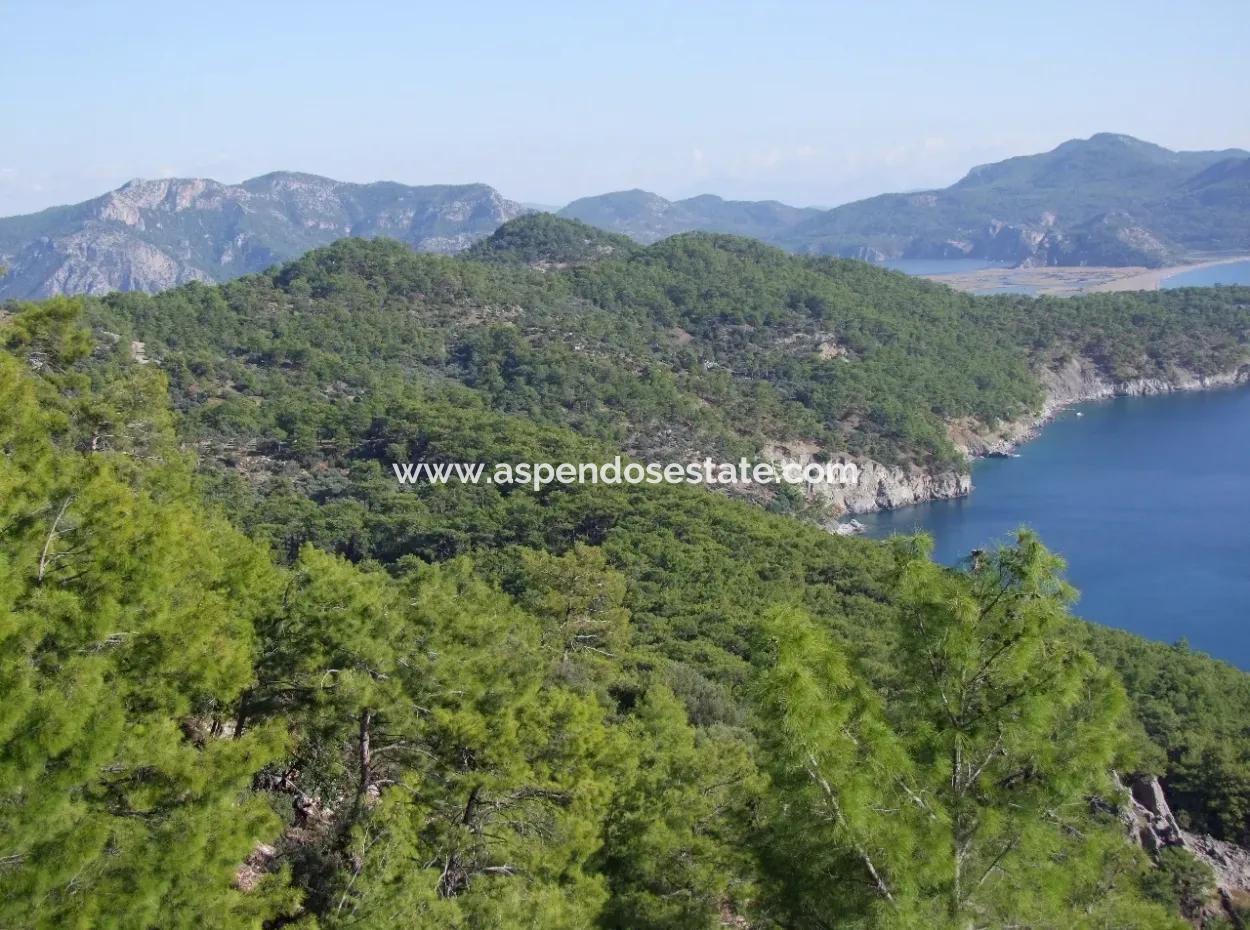 Real Estate Bargain Plot For Sale With Sea Views In Çandır Call In Ekincik