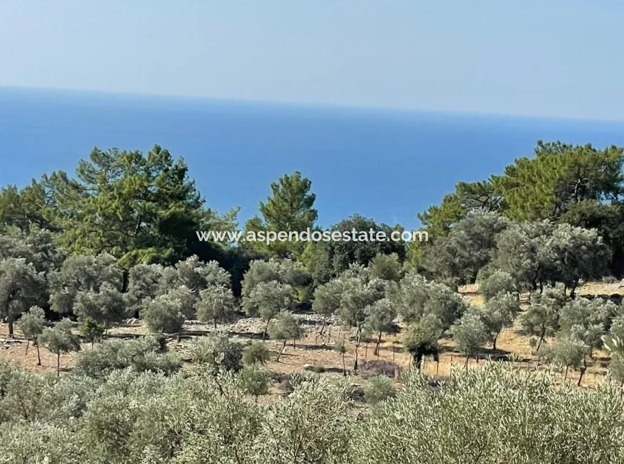 Land For Sale With Sea View Of Çandir