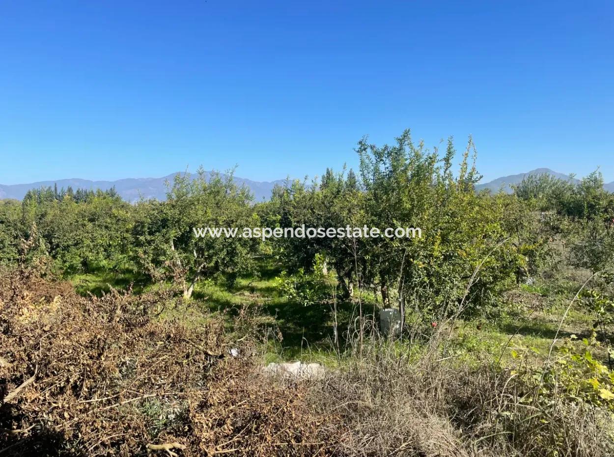 2223M2 Fields For Sale In Dalyan