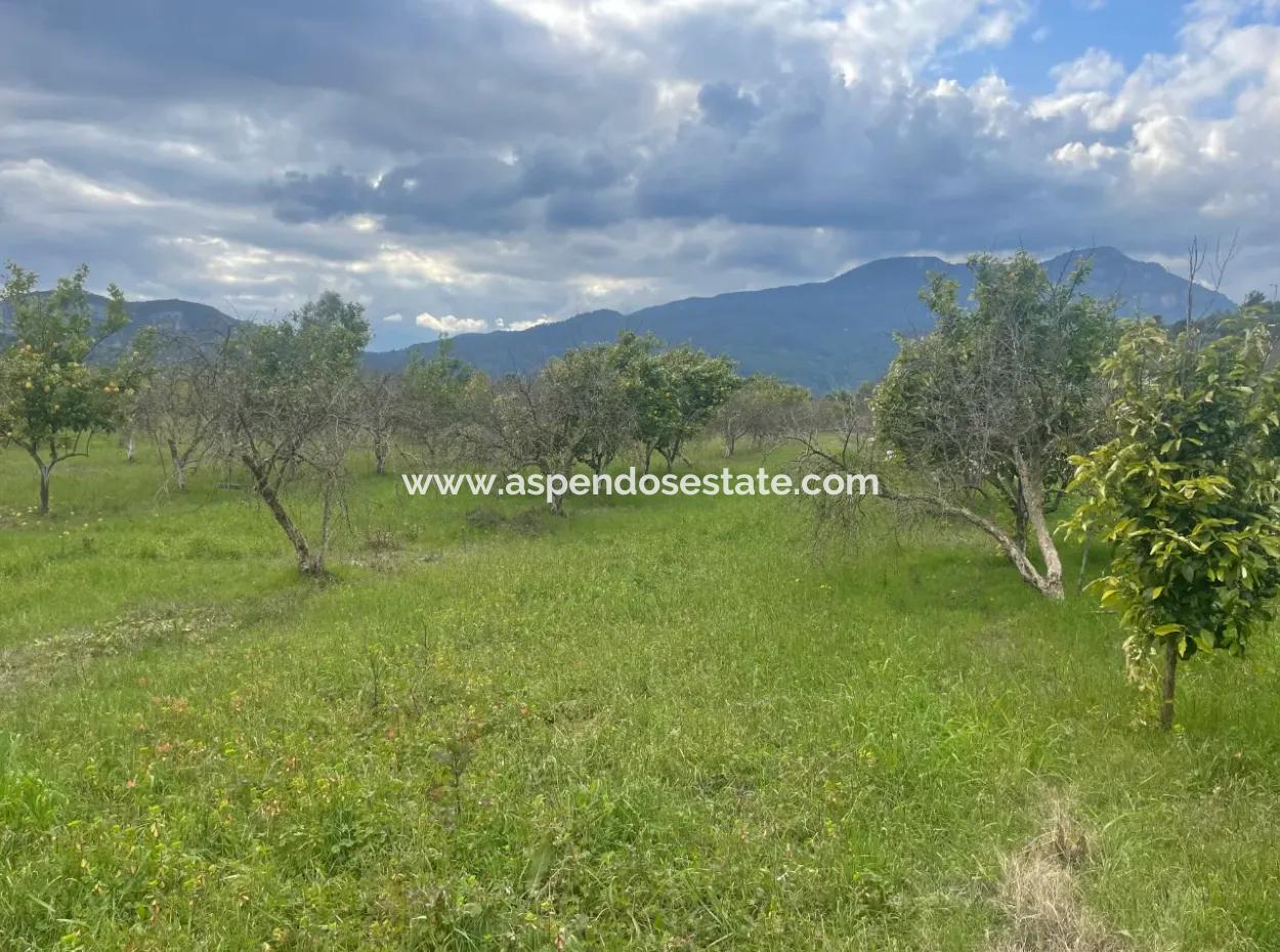 Dalyan Boutique Hotel For Sale Bungolevler For Sale In 11.000M2 Plot