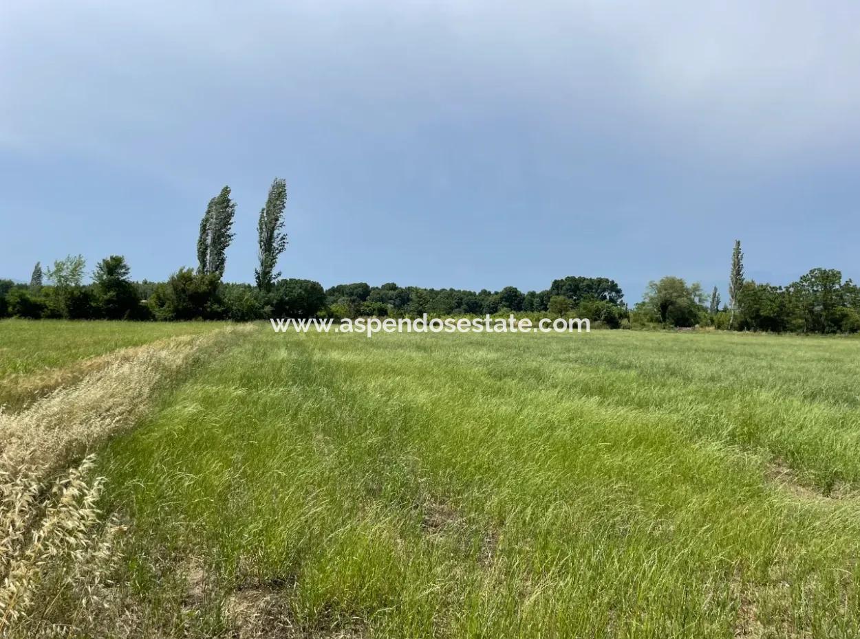 4595M2  Land For Sale In Okçular Marmarlı