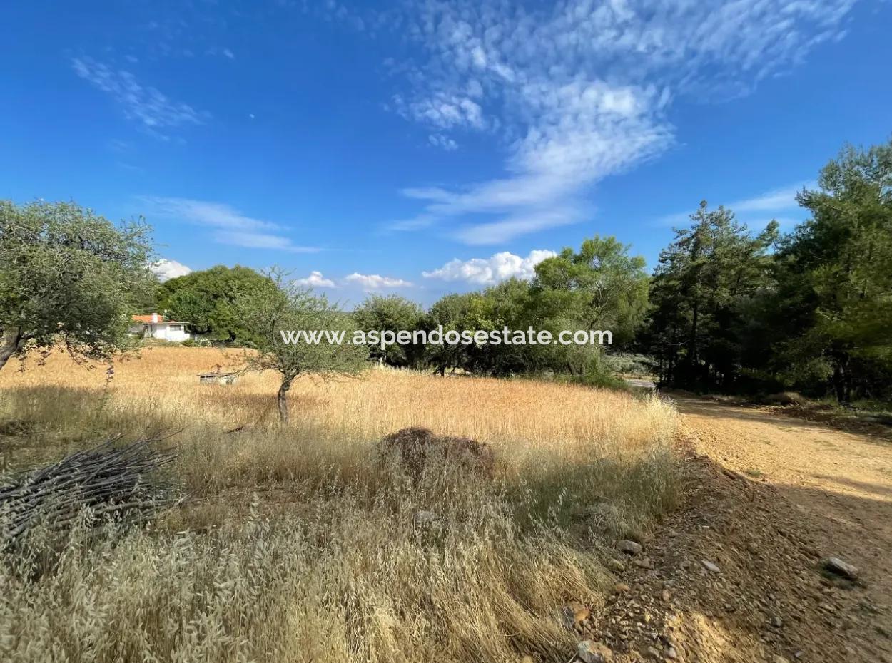 Land For Sale In Ula Armutchuk With 501M2 Zoning