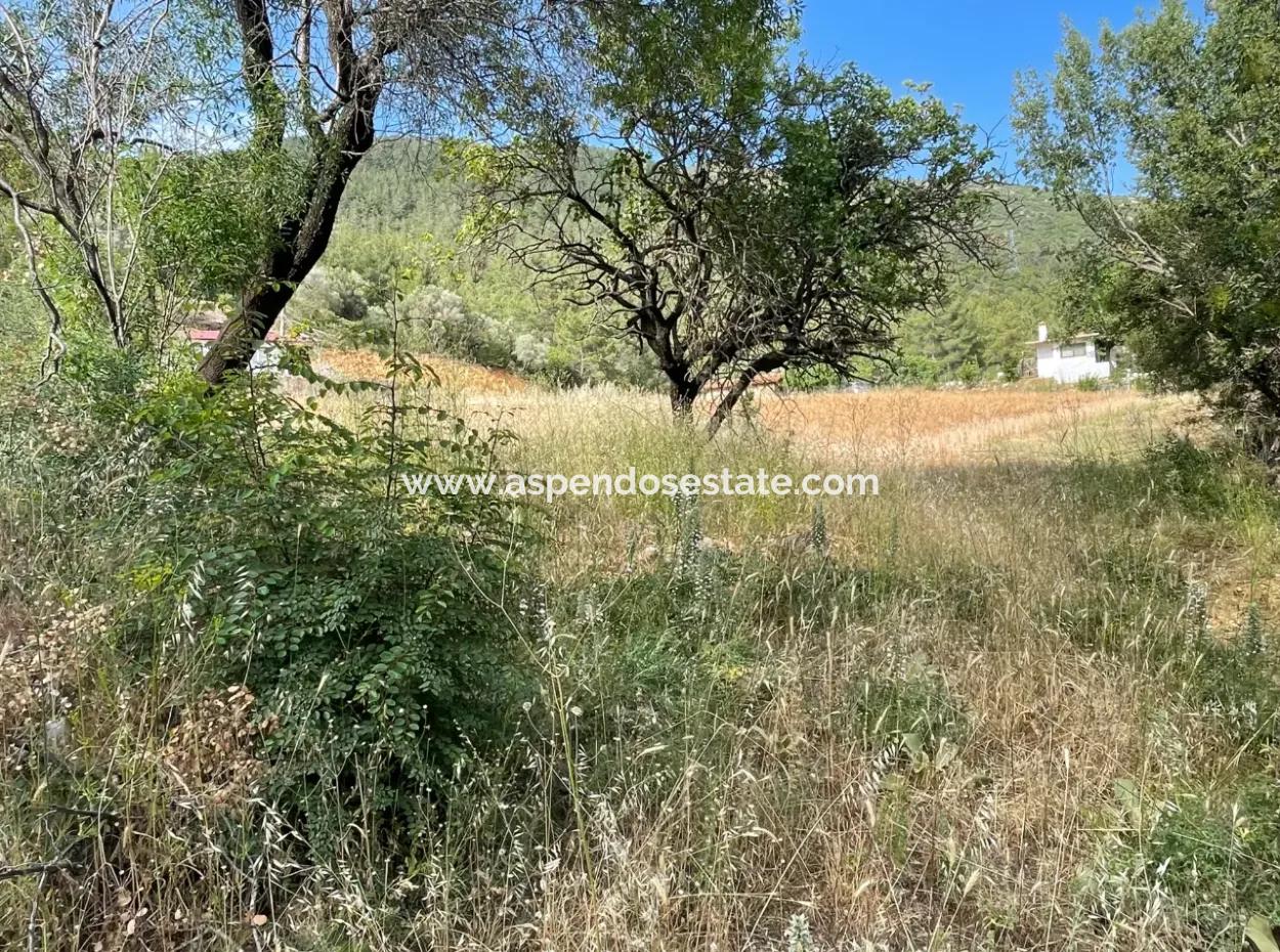 Land For Sale In Ula Armutchuk With 501M2 Zoning