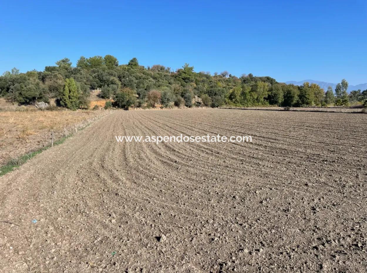 6254M2 Field For Sale Near Dalyan In Eskiköy