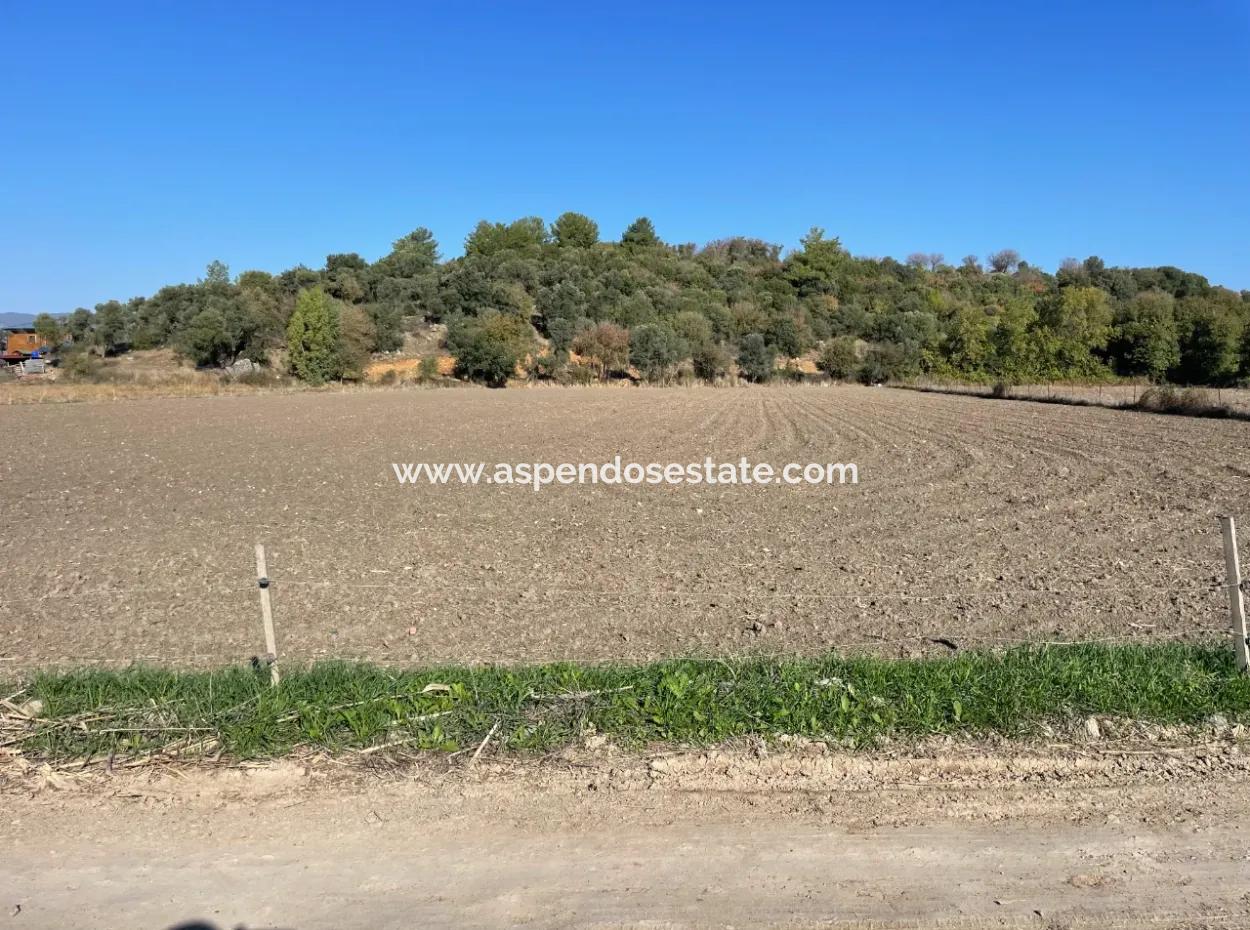 6254M2 Field For Sale Near Dalyan In Eskiköy