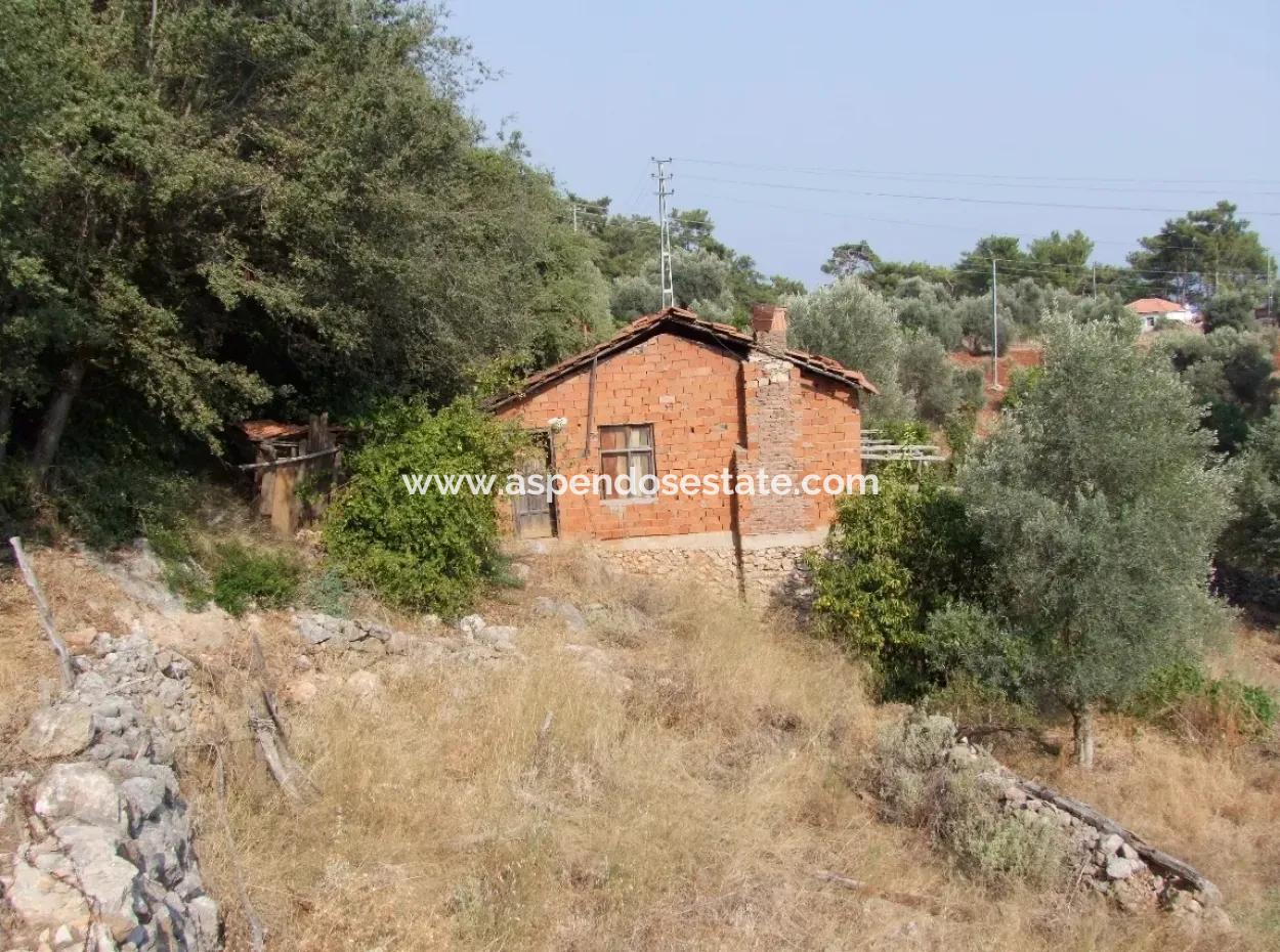 5000M2 Plot Of Land For Sale In Akyaka With Full Sea View House For Sale Kentucky