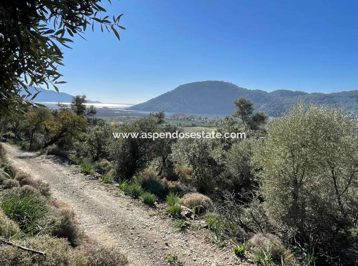 950M2 2B Field For Sale With Sea And Lake View In Çandır