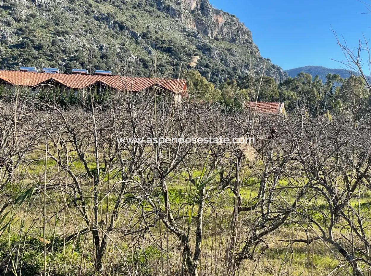 Dalyan Iztuzu Road Zero 5216M2 Field Plot For Sale