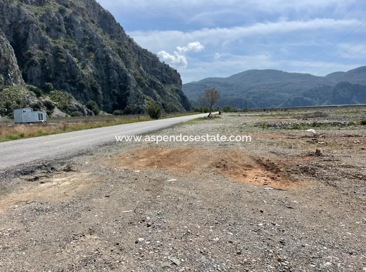 Dalyan Iztuzu Beach Road Zero 19,600M2 Field Land For Sale