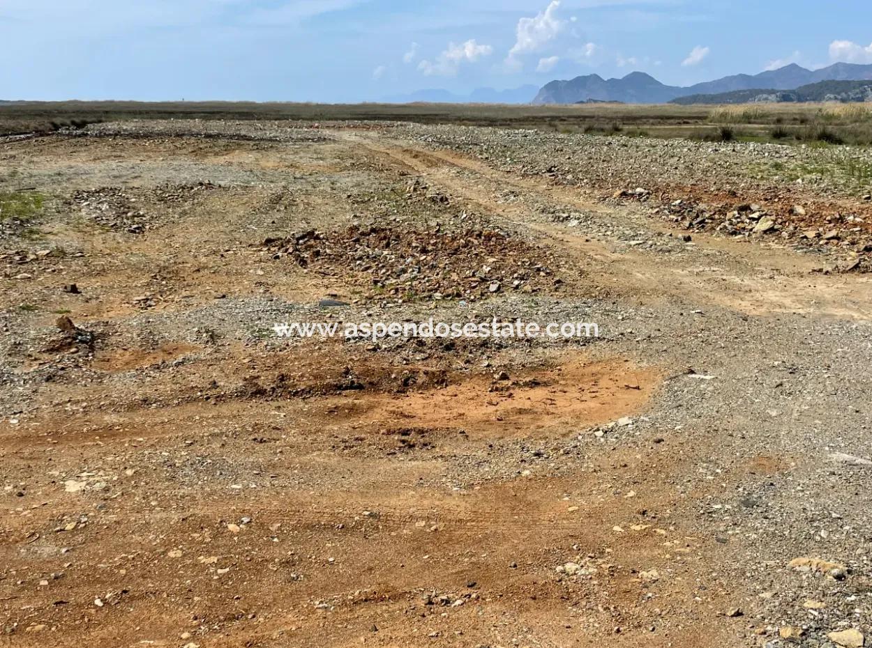 Dalyan Iztuzu Beach Road Zero 19,600M2 Field Land For Sale