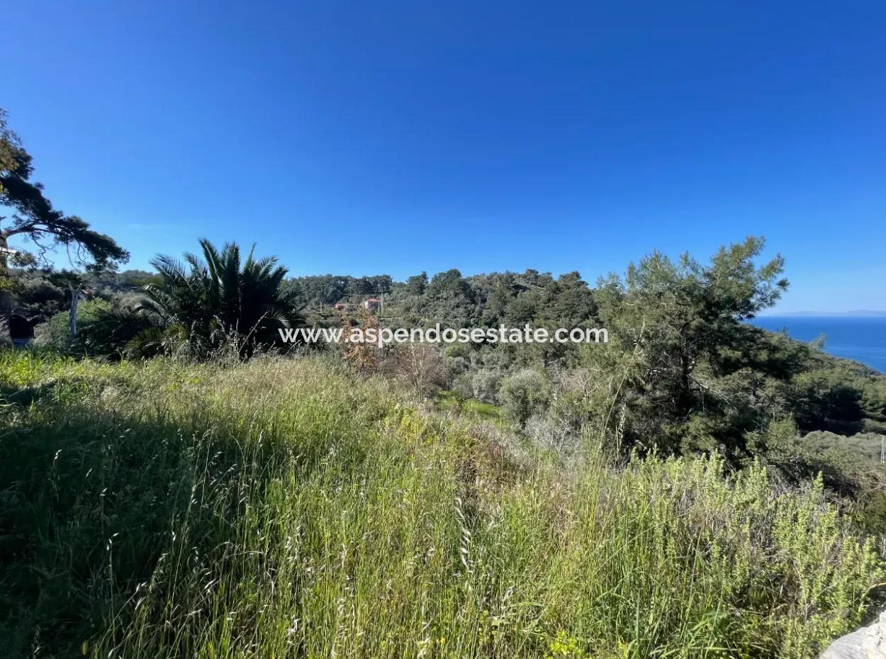 Village House For Sale In 4,400M2 Land With Full Sea View In Gökbel