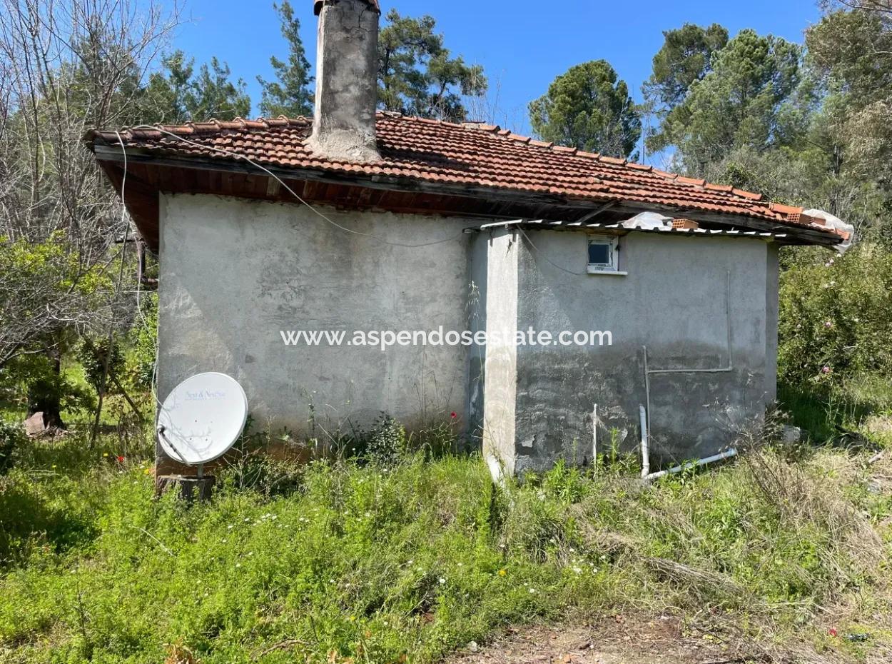 Village House For Sale In 5650M2 Field In Zeytinalann