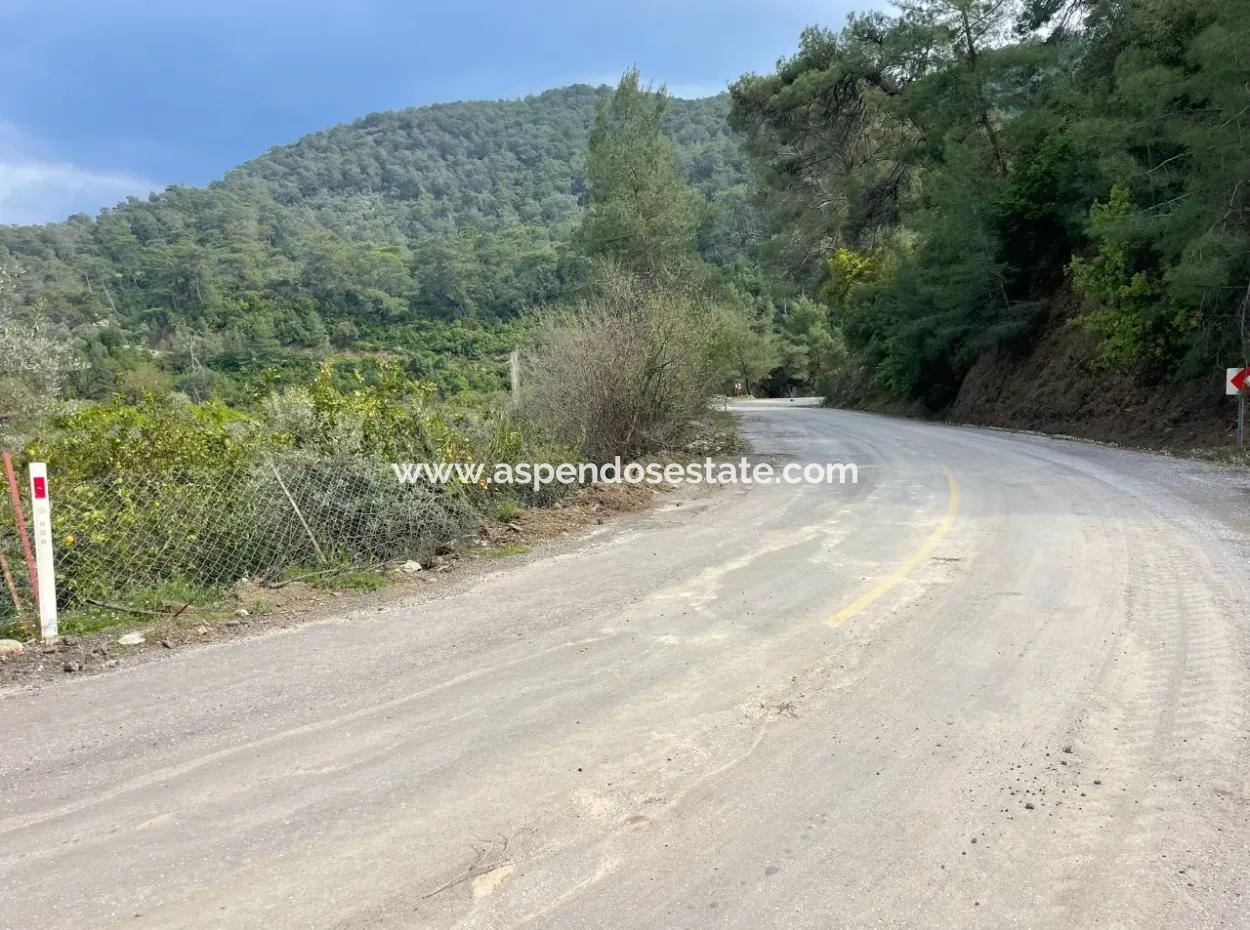 5000M2 Field For Sale At The Beginning Of The Road In Çandır
