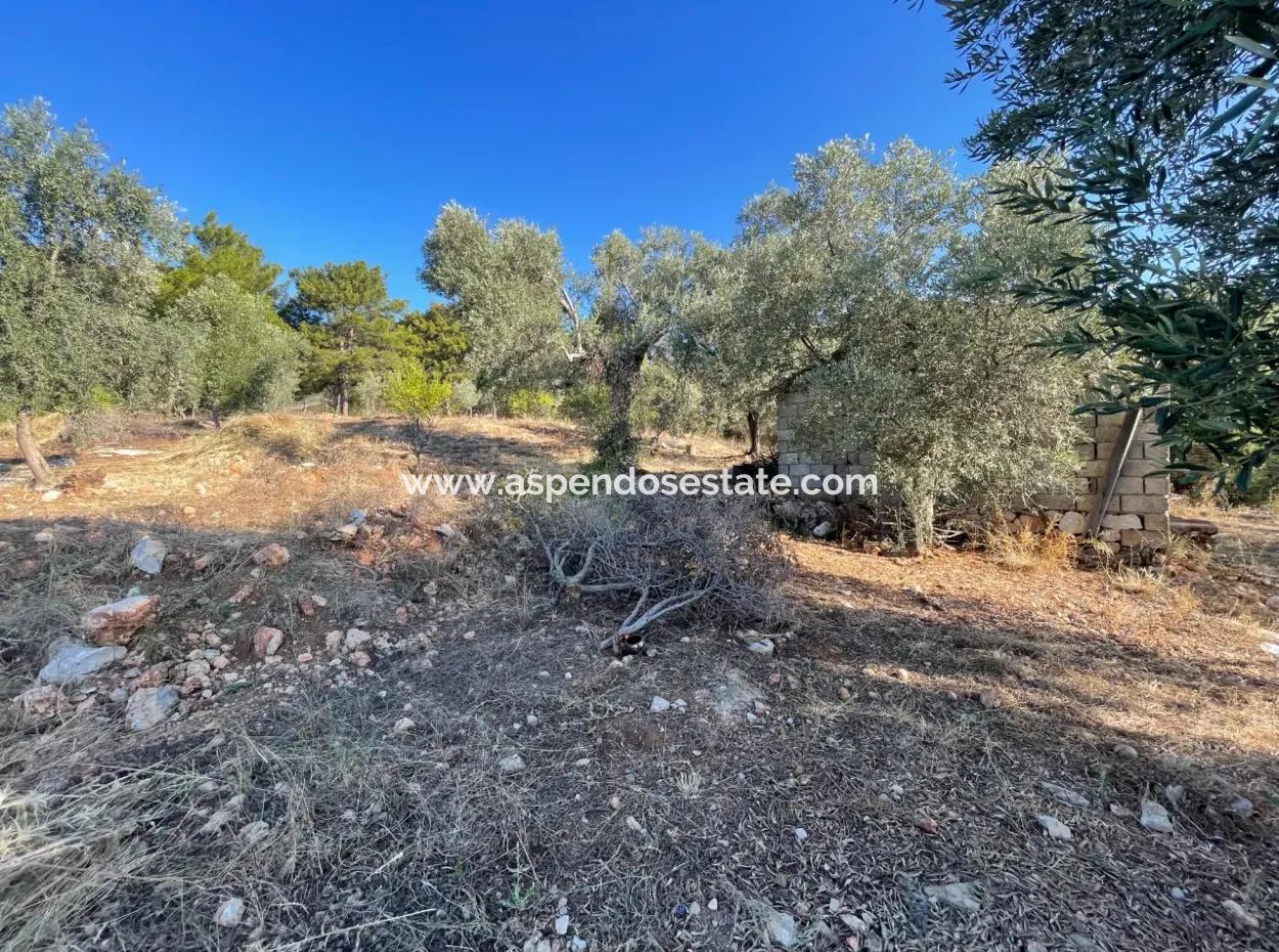 Çandır Full Sea And Lake View 500M2 2B Field For Sale