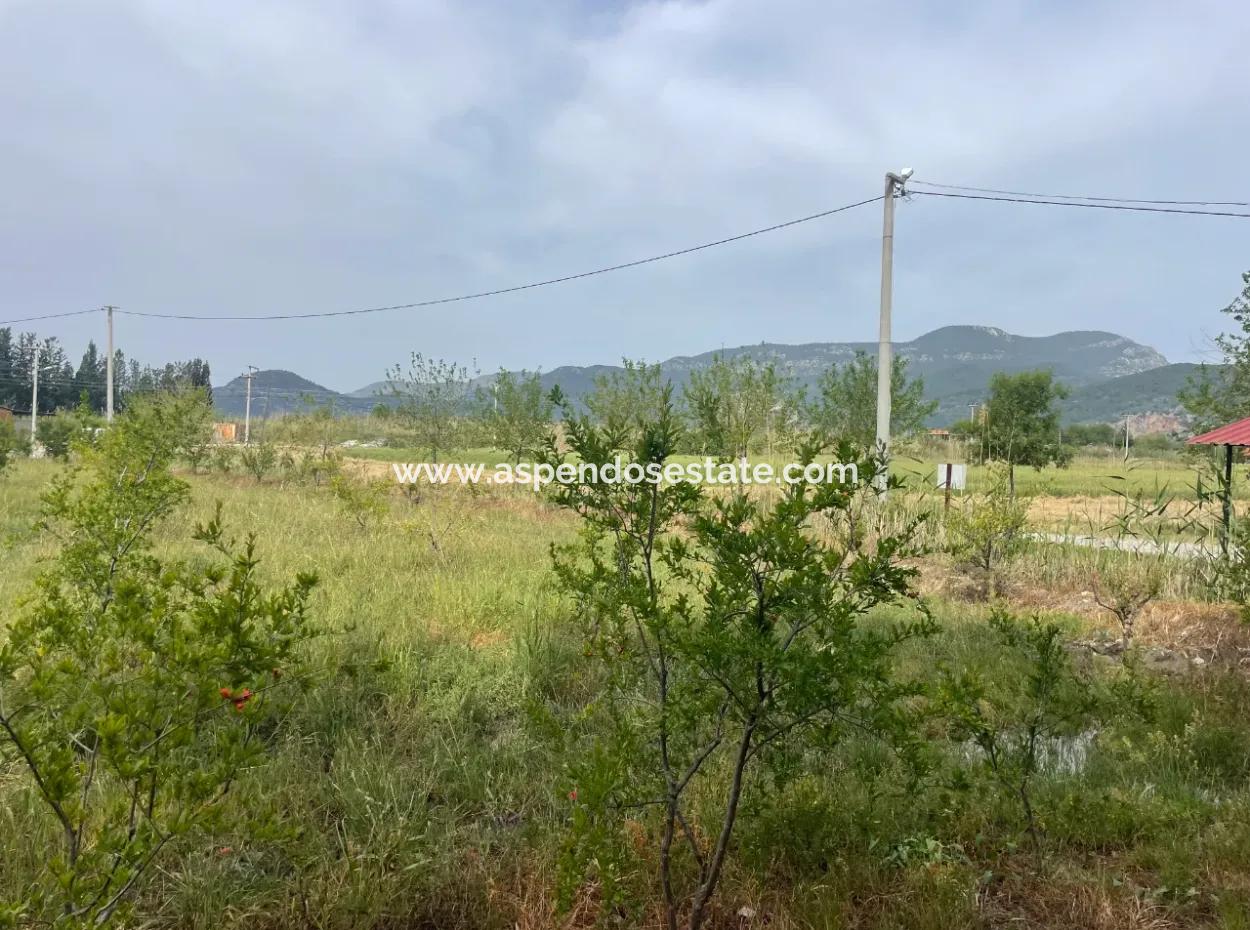 Field For Sale 6500M2 In Dalyan