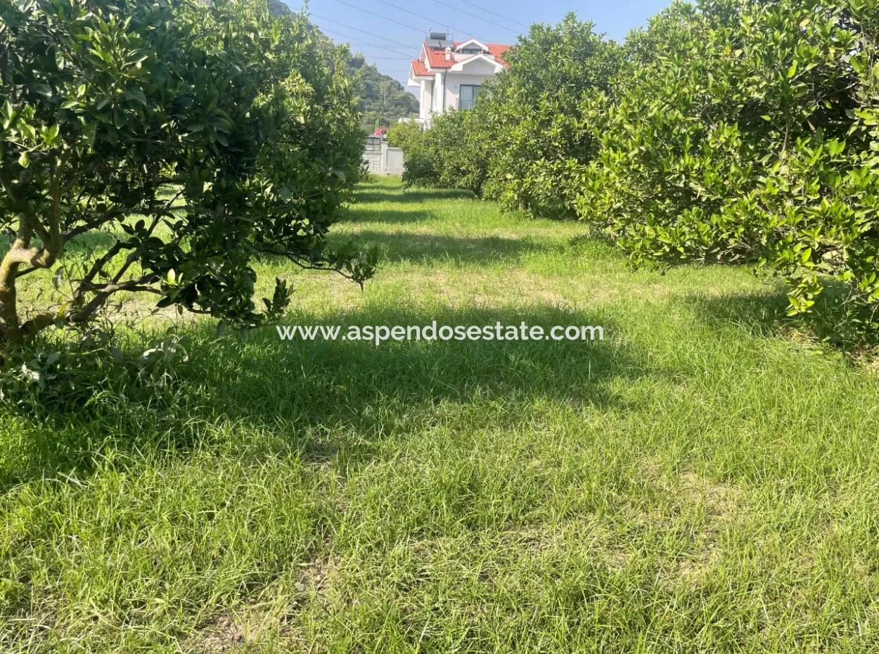 Land For Sale In Gulpinar, Dalyan 722M2