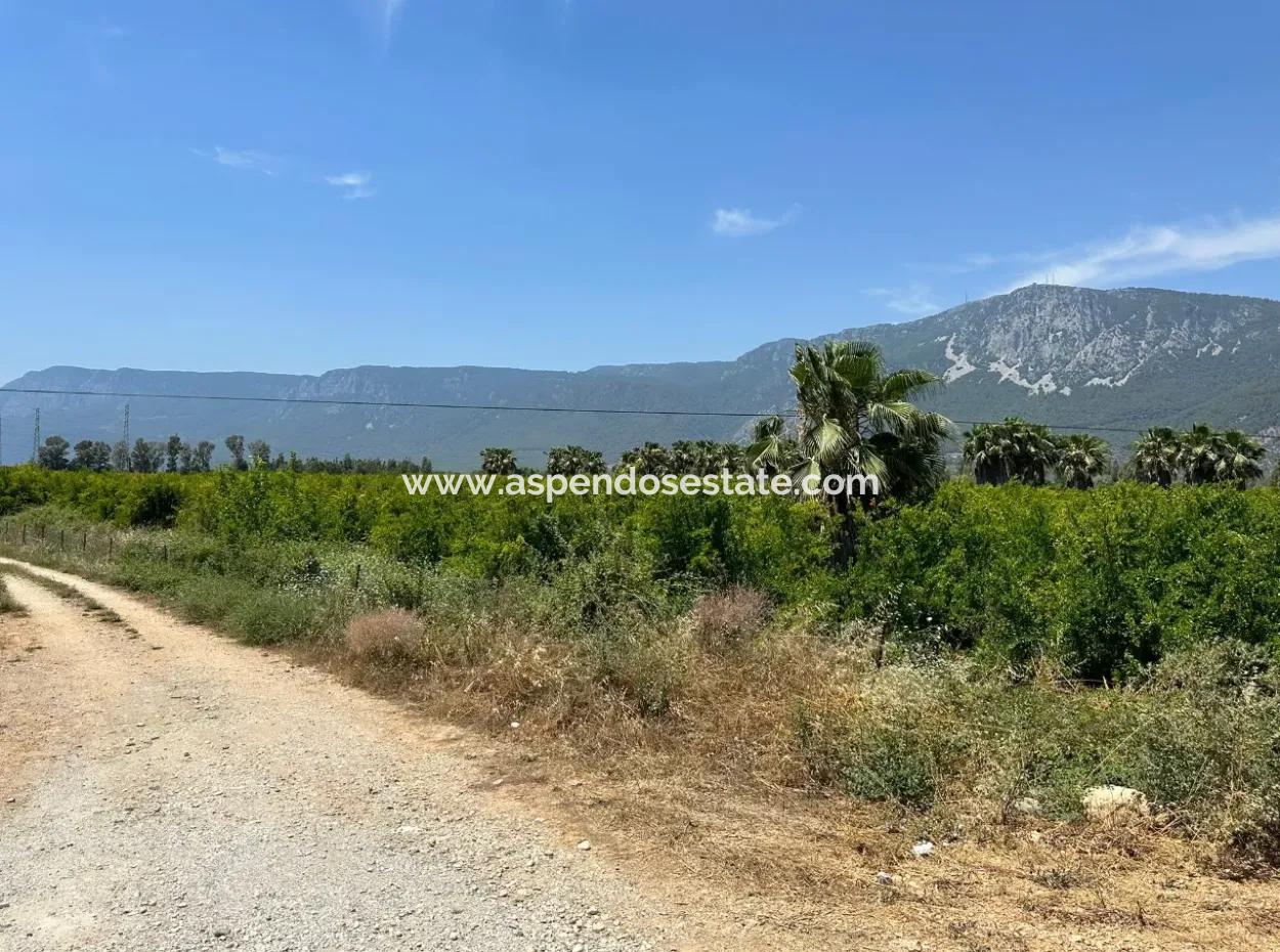 13,500M2 Roadfront Field For Sale In Akyaka Akçapınar
