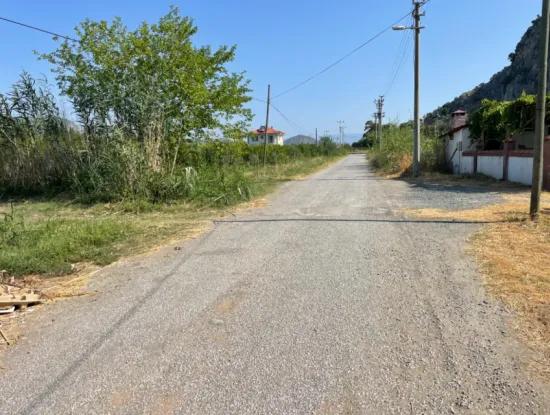 10,000M2 Pomegranate Garden For Sale In Dalyan Arıkbaşı And Gerendüzün
