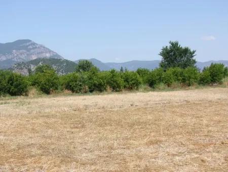 Okcular 650M2 Corner Plot For Sale In Dalyan House For Sale In Archers