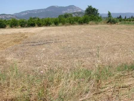 Okcular 650M2 Corner Plot For Sale In Dalyan House For Sale In Archers