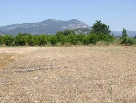Okcular 650M2 Corner Plot For Sale In Dalyan House For Sale In Archers