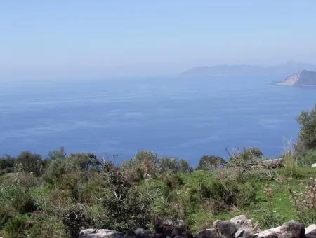 For Sale In Faralya Faralya With Sea View And 11,286M2 Land For Sale Tourism