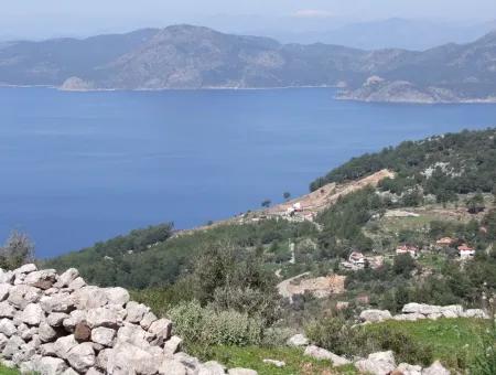 For Sale In Faralya Faralya With Sea View And 11,286M2 Land For Sale Tourism