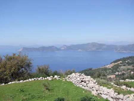 For Sale In Faralya Faralya With Sea View And 11,286M2 Land For Sale Tourism