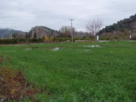 Gulpinar Dalyan Dalyan For Sale In 1002M2 Plot For Sale For Sale Cornerstone