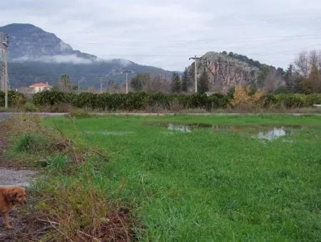 Gulpinar Dalyan Dalyan For Sale In 1002M2 Plot For Sale For Sale Cornerstone