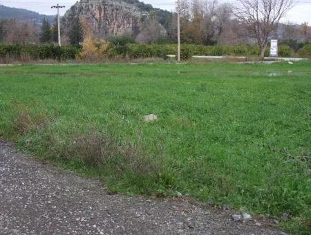 Gulpinar Dalyan Dalyan For Sale In 1002M2 Plot For Sale For Sale Cornerstone