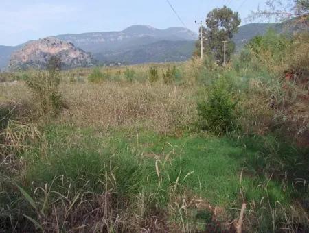 For Sale Land In Dalyan For Sale Dalyan Channel Zero