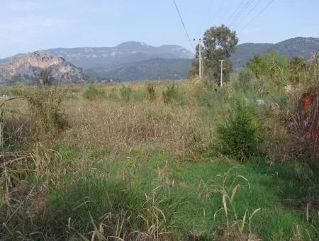 For Sale Land In Dalyan For Sale Dalyan Channel Zero