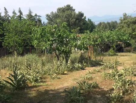 Land For Sale In Seydikemer Korubuku 76000M2