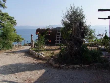 Beachfront Bungalow For Sale In Akbuk By The Sea In A Plot Of 800M2 Villa For Sale Turnalı