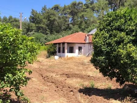 Garden For Sale In Gokce Akyaka, Near The Sea, A 38,000M2 Plot For Sale