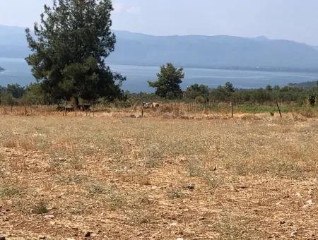 11.227M2 Land For Sale With Lake Views In Köyceğiz Zeytinalanı