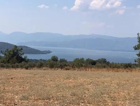11.227M2 Land For Sale With Lake Views In Köyceğiz Zeytinalanı