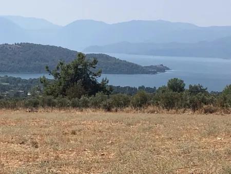 11.227M2 Land For Sale With Lake Views In Köyceğiz Zeytinalanı