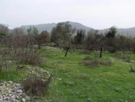 In Incirkoy Uzumlu Fethiye Plot For Sale Farm For Sale In Incirkoy