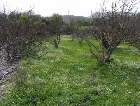 In Incirkoy Uzumlu Fethiye Plot For Sale Farm For Sale In Incirkoy