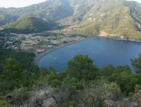 Ekincik Land For Sale Very Close To The Sea 2000M2 Land For Sale