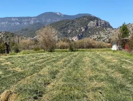 3700M2 Land For Sale In Dalyan