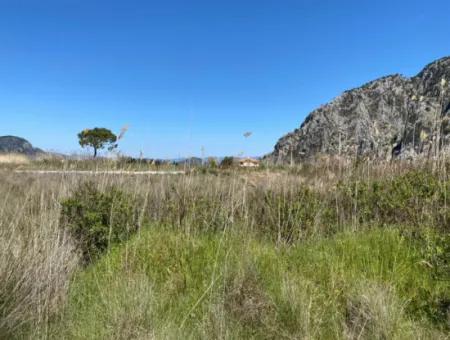 9310M2 Land For Sale In Dalyan