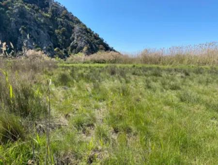 9310M2 Land For Sale In Dalyan